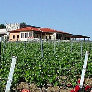 Gerovasileiou Winery